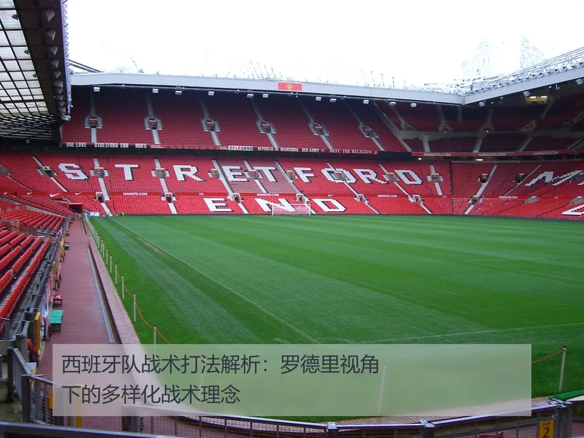 西班牙队战术打法解析：罗德里视角下的多样化战术理念 - ky.appAPP
